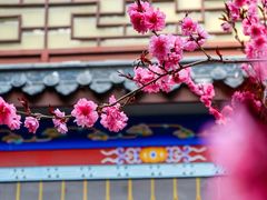 -威高民俗文化邨