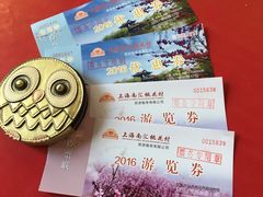 -南汇桃花村