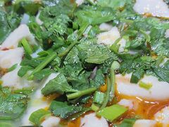 -天发芽·何记葫芦头泡馍·老字号(小南门店)
