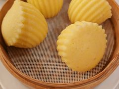 -金粤九号(李公堤店)