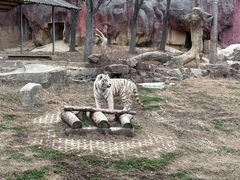 -无锡动物园·太湖欢乐园
