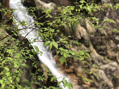 -大明山自然探索公园