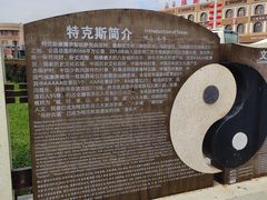 -特克斯八卦城