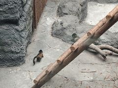 -武汉动物园