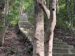 -深圳仙湖植物园