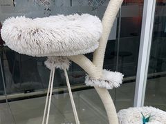 -爱洗澡的猫(天河路店)