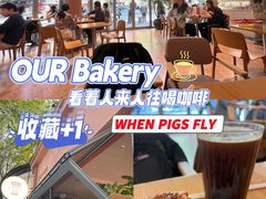 -WHEN PIGS FLY当猪飞