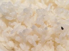 -须水邓记叫化鸡(长兴路店)