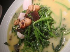 上汤菠菜-老头儿油爆虾(星光一期店)
