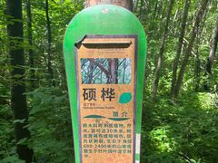 -长白山万达国际度假区