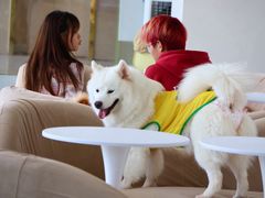 -怪兽屋·羊驼·猫咖·狗咖(俊华广场店)