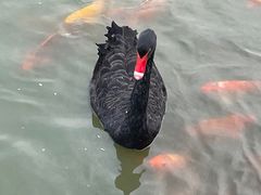 -春晖园度假酒店温泉