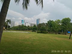 景点-万绿园