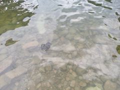 -楠溪江风景名胜区