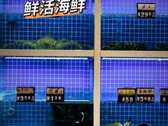 -金龙·打边炉(南京西路店)