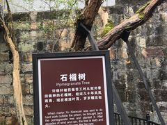 -白公馆