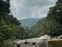 -海南热带雨林国家公园吊罗山景区