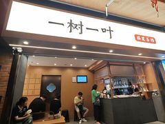 -一树一叶·福建茶档(石鼓路店)