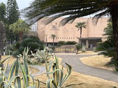 -自贡恐龙博物馆