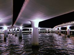 -演武大桥观景平台