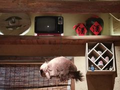 -泥糊破店小酒馆·团建聚餐(南京西路店)