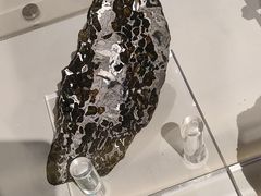 -正佳自然科学博物馆