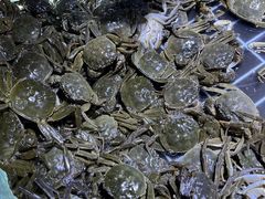 -聚盛源蒸汽海鲜火锅烤肉自助(巨川金海岸购物广场店)