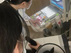 -艾贝尔宠物医院 ·中兽医·宠保定点(北门桥店)