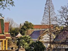 -报恩禅寺