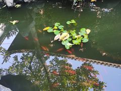 -胡雪岩故居