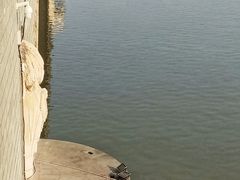 -凤城河风景区