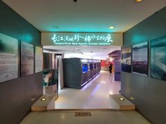 -上海海洋水族馆