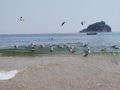-棒棰岛宾馆景区