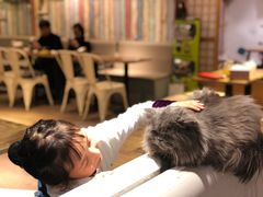 -小时光咖啡馆(开森度假森林店)