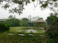 -张坝桂圆林公园