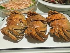 -呼吸森林·生态农庄农家乐私房菜