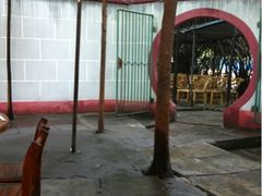 iphone_upload_pic-月圆霖特色农家乐
