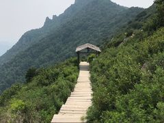 -白草畔自然风景区