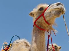 -库伦旗银沙湾旅游景区