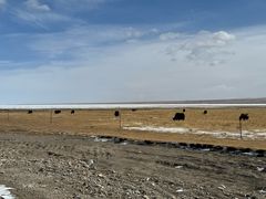 -青海湖国家重点风景名胜区
