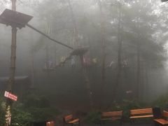 -梦幻奥陶纪景区