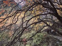 -叠溪松坪沟景区