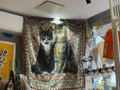 -平行世界·猫咖(首经贸店)