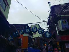 -猫咪博物馆(顶澳仔猫街店)