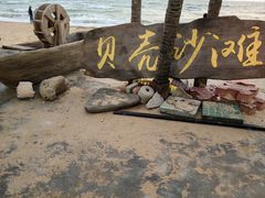 -贝壳沙滩