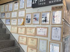 -半岛宠物医院24小时·内窥镜·牙科·碎石中心(府城大道店)