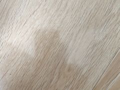 -黃牛牛肉面馆