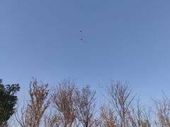 -七桥瓮公园