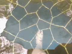 -海兰云天度假区温泉