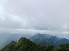 -梧桐山风景名胜区
